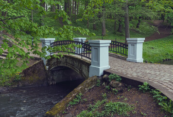Fototapeta premium old bridge over small stream in the forest