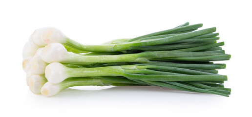 Green onion isolated on the white