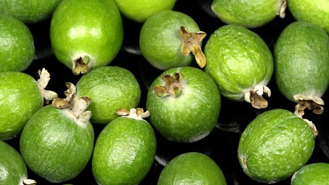 Acca sellowiana fruit (feijoa) rotation background. Close up