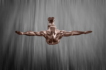 Wasserfallspringer, Zeichen von Perfektion, Sch&ouml;nheit und Anmut.