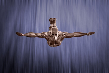 Wasserfallspringer, Zeichen von Perfektion, Sch&ouml;nheit und Anmut.