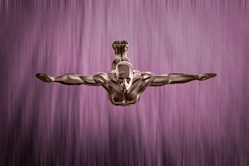 Wasserfallspringer, Zeichen von Perfektion, Sch&ouml;nheit und Anmut.