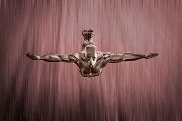 Wasserfallspringer, Zeichen von Perfektion, Sch&ouml;nheit und Anmut.