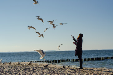 Dziewczyna i ptaki na morskiej plaży - obrazy, fototapety, plakaty
