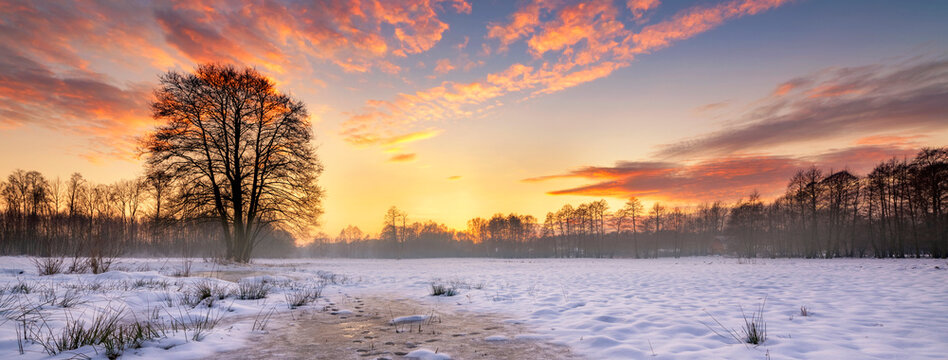 Beautiful winter sunset with lonely tree and frozen pond