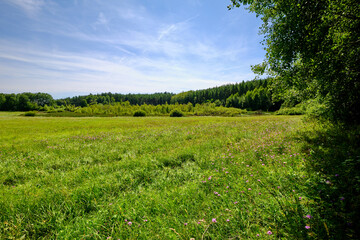 Fototapeta na wymiar Das NSG Bischofswaldung mit Stedtlinger Moor, Biosphärenreservat Rhön, Gemeinde Rhönblick, Thüringen, Deutschland