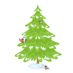 Green winter Christmas tree and three bullfinches. In cartoon style. Isolated on white background. Vector flat illustration. 
