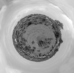 cows grazing fresh green grass at the meadow in Portugal in tiny planet style