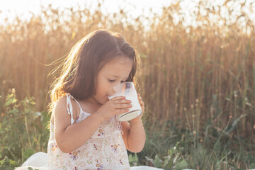 Little dark-haired girl 3-4 years old in white light dress sits in field of ripe rye spikelets, holds glass of milk in her hands and drinks it in sunny summer day. Healthy children food.