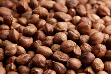 Shelled raw hazelnuts background closeup