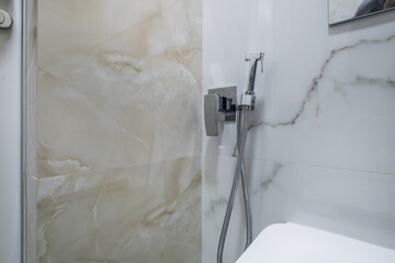 bidet in modern toilet with  wall mount shower attachment