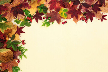 Autumn leaf and berry fruit border on cream background. Natural composition for the Fall and Thanksgiving. Top view, flat lay, copy space.