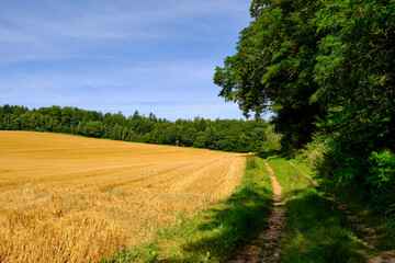 Das NSG Bischofswaldung mit Stedtlinger Moor, Biosphärenreservat Rhön, Gemeinde Rhönblick, Thüringen, Deutschland