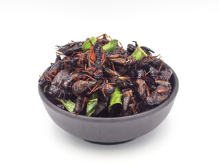 Fried insects, fried crickets with grasshoppers and kaffir lime leaves in a black cup with separate servings on a white background