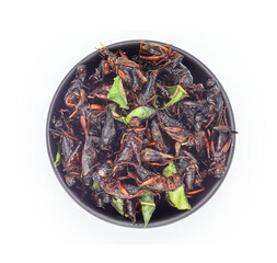 Fried insects, fried crickets with grasshopper and kaffir lime leaves in separate black bowl served on white background, top view.