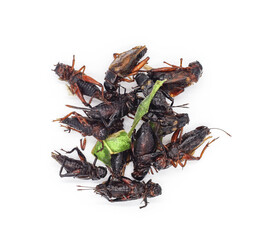 Fried insects. Fried crickets with grasshopper and kaffir lime leaves isolated on white background