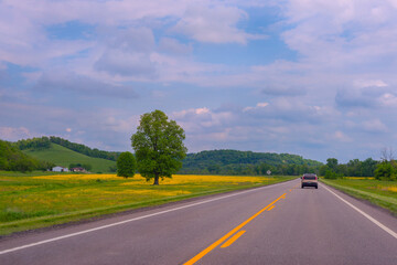 Fototapeta premium road in the countryside
