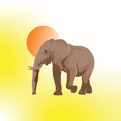 big elephant walking behind the moonligt, powered jumbo animal vector illustrations