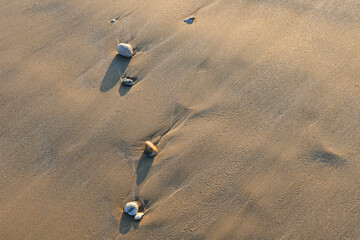 Quelques galets sur le sable laissés par la marée sous une douce lumière hivernale
