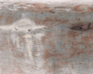bark texture background eucalyptus tree