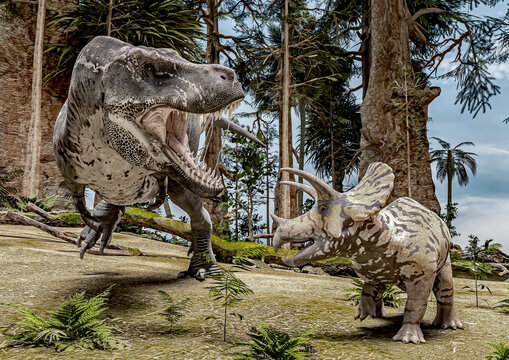Fototapeta T-Rex against Triceratops in the woods, Version 3, 3D-Rendering, illustrated