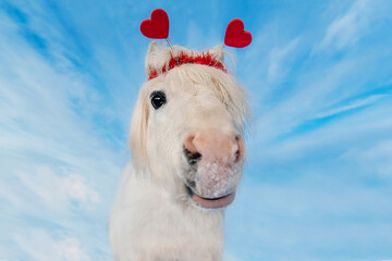 Lovely white pony with red hearts on its head