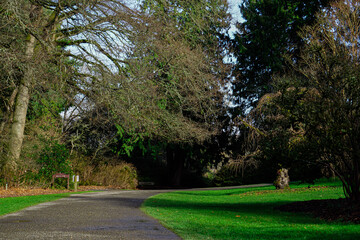 path in the park