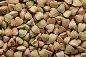 green buckwheat texture background. Natural healty food, close-up top view