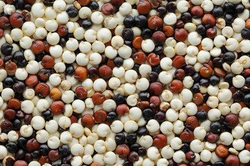 Red, black and white uncooked quinoa top view closeup. background