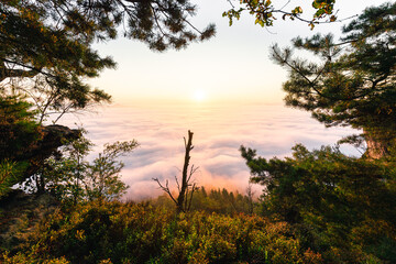 Obraz premium Nebelmeer zum Sonnenaufgang 