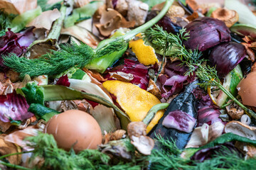 composting pile of vegetables, fruits, organic waste as a background