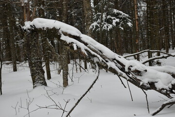 Mont Ham 2 Au 8 Janvier 2022
