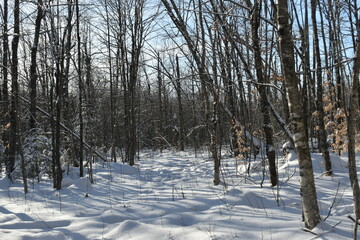 Mont Ham 2 Au 8 Janvier 2022