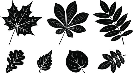Set of black silhouettes of tree leaves