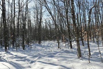 Mont Ham 2 Au 8 Janvier 2022