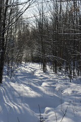 Mont Ham 2 Au 8 Janvier 2022