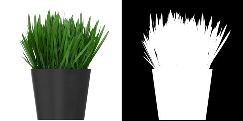 3D rendering illustration of grass in a pot