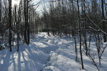 Mont Ham 2 Au 8 Janvier 2022