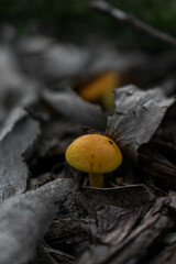 #canon eos 700d
#18-55mm