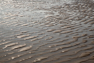 Patterns of water and sand on a Dutch beach