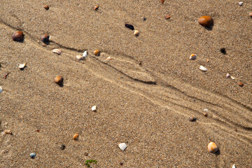 Pattern of tiny stream on sandy beach