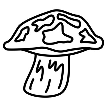 Suillus luteus, yellow boletus, boletus luteus, suillus. Edible forest mushroom. Picking mushrooms. Vector icon, outline, isolated