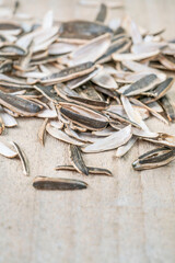 leftovers of eaten sunflower seed pods pile