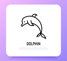 Cartoon jumping  dolphin thin line icon. Modern vector illustration.