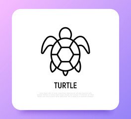 Fototapeta premium Cartoon turtle thin line icon. Modern vector illustration for logo with reptile.