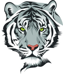 tiger head vector illustration
