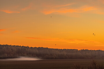 Sunset in the mist field with silhouette of paragliders flying over the orange sky