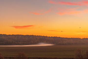 Fototapeta premium Sunset in the mist field with silhouette of paragliders flying over the orange sky