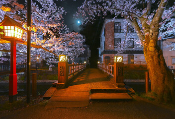 japan,sakura,night,