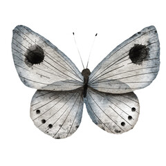 Digital raster watercolour illustration of butterflies in vintage style in blues and greys.